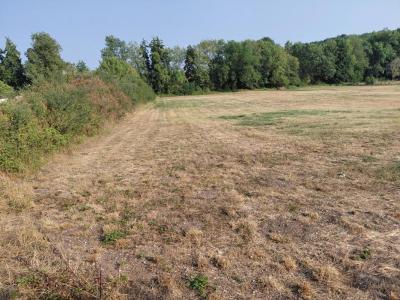 Annonce Vente Terrain Flere-la-riviere 36