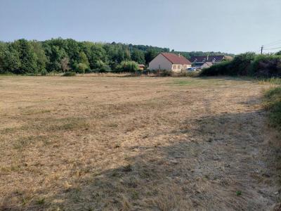 Acheter Terrain 9803 m2 Flere-la-riviere