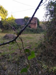Annonce Vente 3 pi�ces Maison Plemet 22