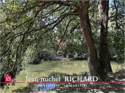 Acheter Terrain 3200 m2 Selles-sur-cher