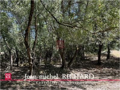 Acheter Terrain Selles-sur-cher Loir et cher