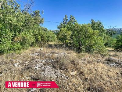 Annonce Vente Terrain Plan-d'aups-sainte-baume 83