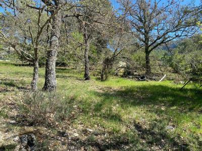 Acheter Terrain 2000 m2 Plan-d'aups-sainte-baume