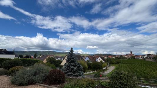 For sale Wintzenheim 10 rooms 299 m2 Haut rhin (68920) photo 1