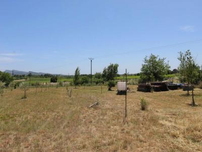 For sale Saint-victor-de-malcap 1 room 10145 m2 Gard (30500) photo 2