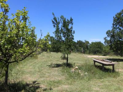 For sale Saint-victor-de-malcap 1 room 10145 m2 Gard (30500) photo 4