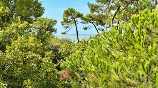 For sale Vaux-sur-mer 1 room 25 m2 Charente maritime (17640) photo 4