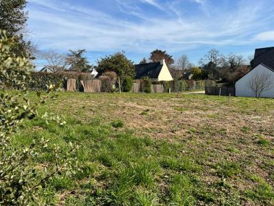 For sale Baden 431 m2 Morbihan (56870) photo 2