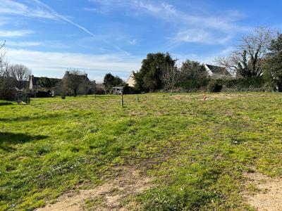 For sale Baden 431 m2 Morbihan (56870) photo 3