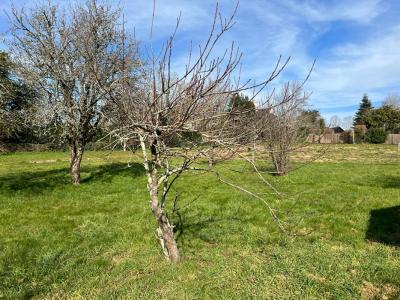 For sale Baden 691 m2 Morbihan (56870) photo 2