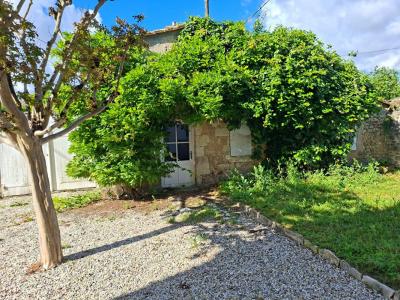 Acheter Prestige Saint-estephe 275800 euros