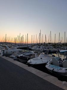 For rent Cannes 2 rooms 36 m2 Alpes Maritimes (06400) photo 3