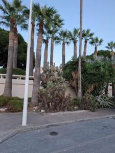 For rent Cannes 2 rooms 36 m2 Alpes Maritimes (06400) photo 4