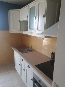Louer Appartement 54 m2 Sorgues