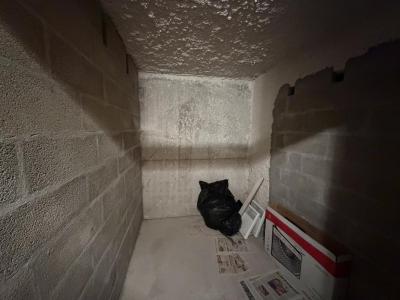 For sale Cambo-les-bains 1 room 34 m2 Pyrenees atlantiques (64250) photo 3