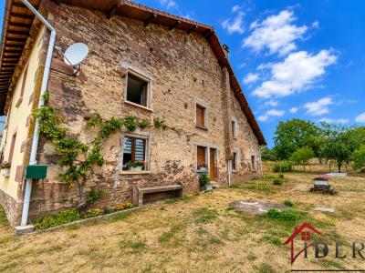 For sale Fougerolles 7 rooms 131 m2 Haute saone (70220) photo 1