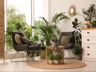 Annonce Vente 3 pi�ces Appartement Marseille-16eme-arrondissement 13