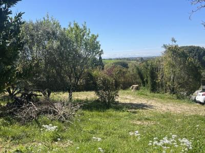 Annonce Vente Terrain Saint-pierre-de-lages 31