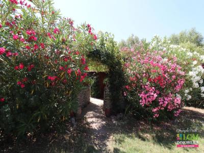 For sale Aubignan 5 rooms 116 m2 Vaucluse (84810) photo 4