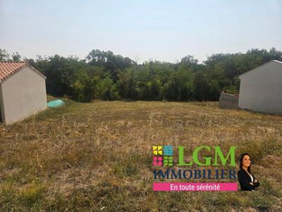 For sale Auriac-sur-vendinelle 1140 m2 Haute garonne (31460) photo 3