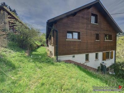 Annonce Vente 9 pi�ces Maison Sainte-marie-aux-mines 68