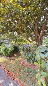 Annonce Vente 4 pi�ces Appartement Auray 56