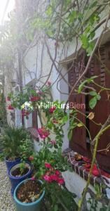 Acheter Maison 145 m2 Chatou