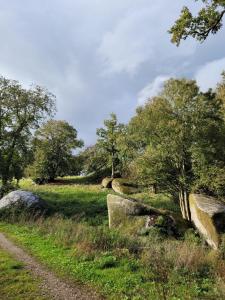 For sale 6 rooms 644 m2 Deux sevres (79240) photo 3