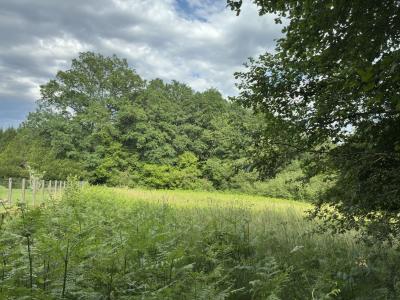 Annonce Vente 4 pi�ces Maison  87