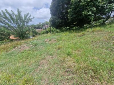 Annonce Vente Terrain Francois 972