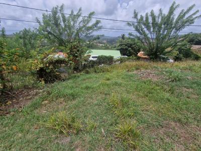 Acheter Terrain Francois Martinique