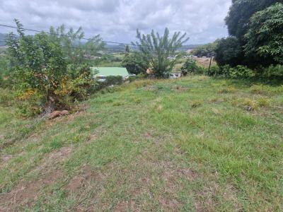 Acheter Terrain Francois 82000 euros