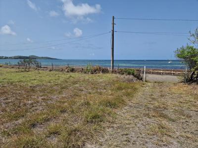 Annonce Vente Terrain Vauclin 972