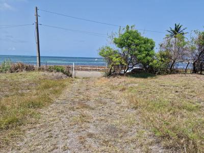 Acheter Terrain Vauclin Martinique