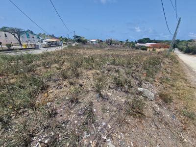 Acheter Terrain 548 m2 Vauclin