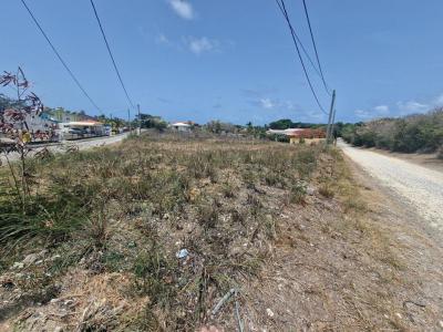 Acheter Terrain Vauclin Martinique
