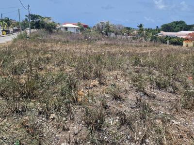 Acheter Terrain Vauclin 89500 euros
