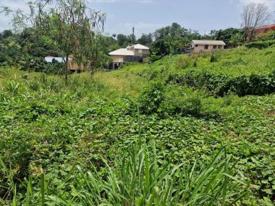 Acheter Terrain 600 m2 Robert