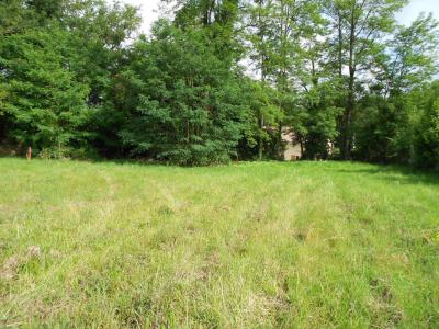 For sale Saint-loubes 900 m2 Gironde (33450) photo 0