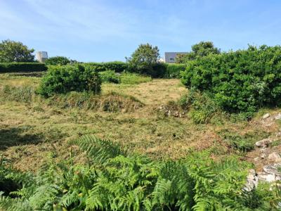 Annonce Vente Terrain Ile-molene 29