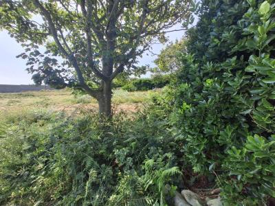 Acheter Terrain Ile-molene Finistere