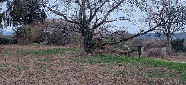 For sale Vezeronce-curtin 563 m2 Isere (38510) photo 0