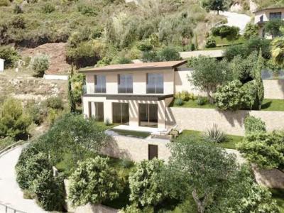 Annonce Vente Terrain Falicon 06