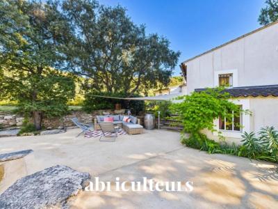 Annonce Vente 5 pi�ces Maison Cheval-blanc 84