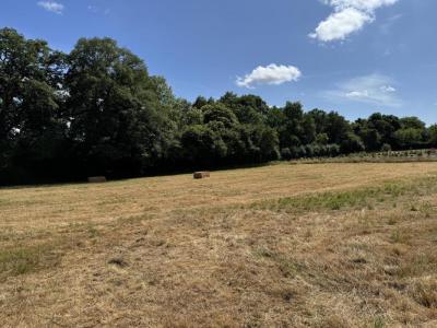 Annonce Vente Terrain Chateaubriant 44