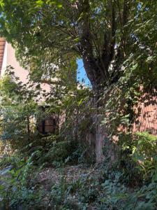 Acheter Maison Bordeaux Gironde