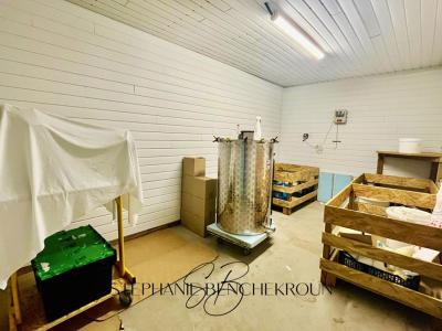 For sale Laurabuc 1 room 60 m2 Aude (11400) photo 2