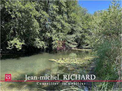 Acheter Terrain 6000 m2 Selles-sur-cher