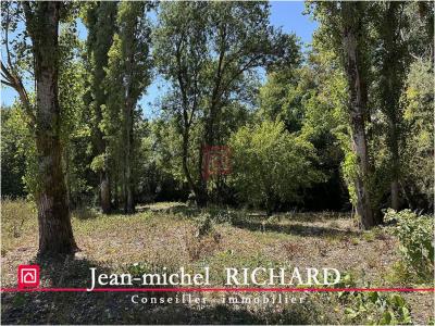 Acheter Terrain Selles-sur-cher 18990 euros