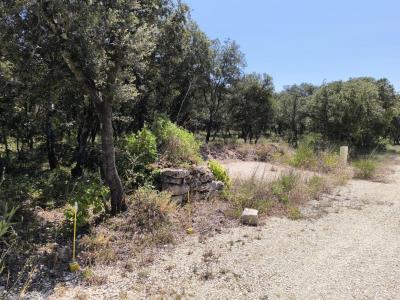 Annonce Vente Terrain Saint-restitut 26